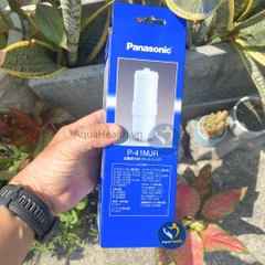 Lõi lọc Panasonic P-41MJR
