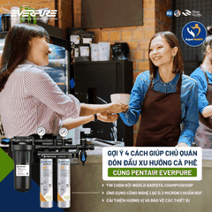 Máy Lọc Nước Pentair Everpure QC7I  PF Twin 4FC