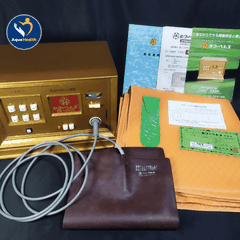 Thảm Dẫn Điện Máy Xung Điện Trị Liệu Toàn Thân