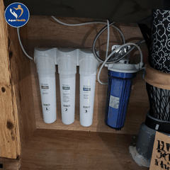 Lõi Lọc Nước Geyser Ecolux