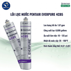 Lõi Lọc Nước Pentair Everpure 4CB5 EV9617-11