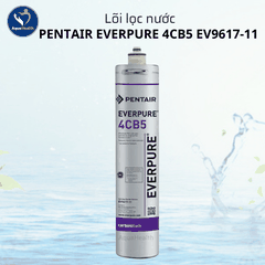 Lõi Lọc Nước Pentair Everpure 4CB5 EV9617-11