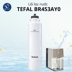 Lõi Lọc Nước Tefal BR453AY0