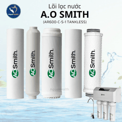 Bộ Lõi Lọc Nước A.O Smith AR600-C-S-1 (TANKLESS)