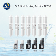 Bộ lõi lọc Toshiba Model TWP-W2396SVN(M) - Gồm 10 lõi