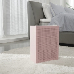 Máy lọc không khí Coway Cartridge (AP-1019C)