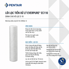 Lõi Lọc Thô Pentair Everpure 10inch EC110