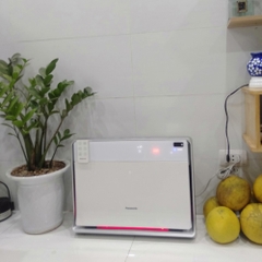 Máy Lọc Không Khí Giữ Ẩm Panasonic F-PXL45A