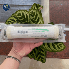 Bộ Lõi Lọc Nước A.O Smith A1/A2/M2
