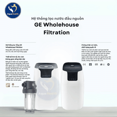 Hệ Thống Lọc Tổng GE WH15A - Bảo Vệ Sức Khỏe Và Nội Thất Toàn Diện