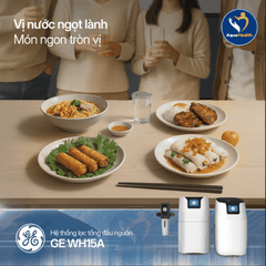 Hệ Thống Lọc Tổng GE WH15A - Bảo Vệ Sức Khỏe Và Nội Thất Toàn Diện
