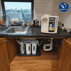 Bộ Tiền Lọc 10 inch 3 Cấp Việt Nam