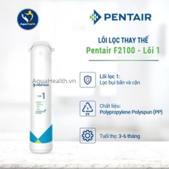 Lõi Lọc Nước Pentair F2100