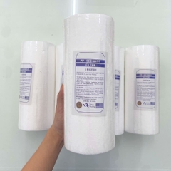 Cốc Lọc Thô Bigblue 10 inch lõi PP - Cốc béo 10 inch