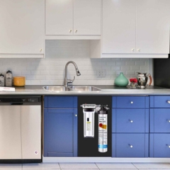 Máy Lọc Âm Bồn Pentair PBS-400 - Thương hiệu đến từ Mỹ