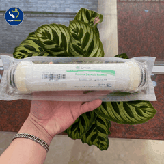 Bộ 5 Lõi Lọc Nước A.O Smith (M1/AR75-A-S-2/1E/G1/G2/Daisy/Daisy Plus)