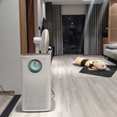 Máy lọc không khí Coway STORM (AP-1516D)