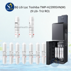 Bộ lõi lọc Toshiba Model TWP-W2399SVN(M) - Gồm 10 lõi
