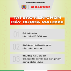 day-curoa-xe-may-epdm-chiu-nhiet-cao-cap-pro-malossi-honda-sh-vision-air-blade-v