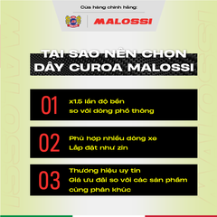 day-curoa-xe-may-sieu-ben-kevlar-pro-max-malossi-honda-sh-vision-air-blade-vario