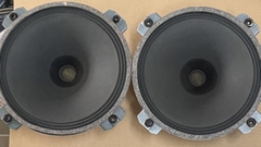 2PCS ISOPHON P25 / 11 ALNICO