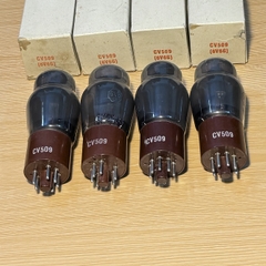 Bóng Đèn CV509 Fivre 6V6G Sản Xuất Italia
