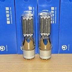 1x ShuGuang 845 Power Tubes