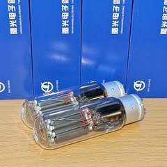1x ShuGuang 845 Power Tubes