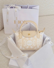 Túi Custom DIOR - Stye Longchamp (20x13.5x7cm)