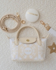 Túi Custom DIOR - Stye Longchamp (20x13.5x7cm)