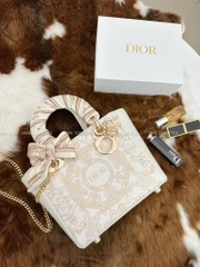 Túi DIOR custom hoạ tiết Holiday Limited dáng Lady size 25cm fullbox túi giấy hãng