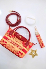 Túi Custom DIOR - Stye Longchamp (20x13.5x7cm)