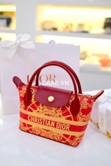 Túi Custom DIOR - Stye Longchamp (20x13.5x7cm)