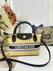 Túi Custom DIOR - Stye Longchamp (20x13.5x7cm)