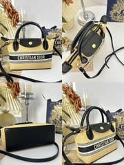 Túi Custom DIOR - Stye Longchamp (20x13.5x7cm)