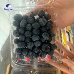 Việt Quất Mỹ