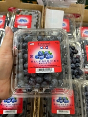 Việt Quất Mỹ