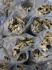 Nấm Mèo Đen Khô