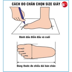 Giày thể thao bản 2 dây màu đẹp lạ hot size 36-40