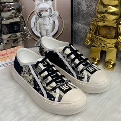 Giày Thể Thao D.ior  b56 Hoạ Tiết HẠC Đen Hàng Quảng Châu Cao Cấp Full Box,Giày Thể Thao D.i.o Thêu Canvas HẠC đen