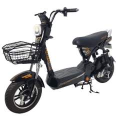 Xe đạp điện Aima Ego