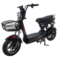 Xe đạp điện Aima Ego