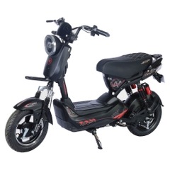 Xe đạp điện Aima G5