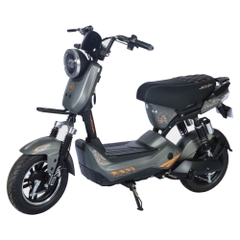 Xe đạp điện Aima G5