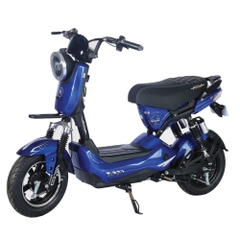Xe đạp điện Aima G5