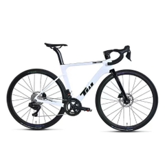 Xe đạp Twitter R3 Carbon