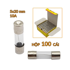 Cầu Chì Ống 5x20mm 250V Gói 5 Cái