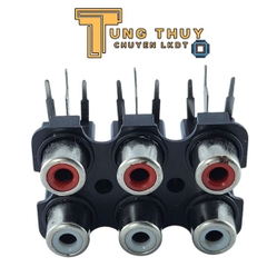 Ổ Cắm AV, Jack AV 6 Cổng