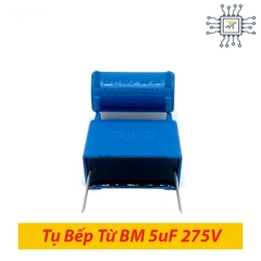 Tụ Bếp Từ BM Đứng 5uF 275VAC