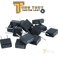 10 Chiếc Cầu Chì Vuông Đen Xám 250V 2A